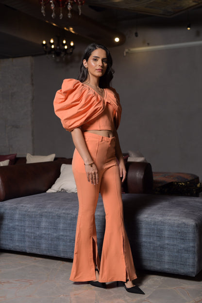 Agnes Draped Sleeves Corset Top with Fit & Flared Trousers - Set of 2